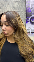 13x6 Silky Straight Highlight Color Wig