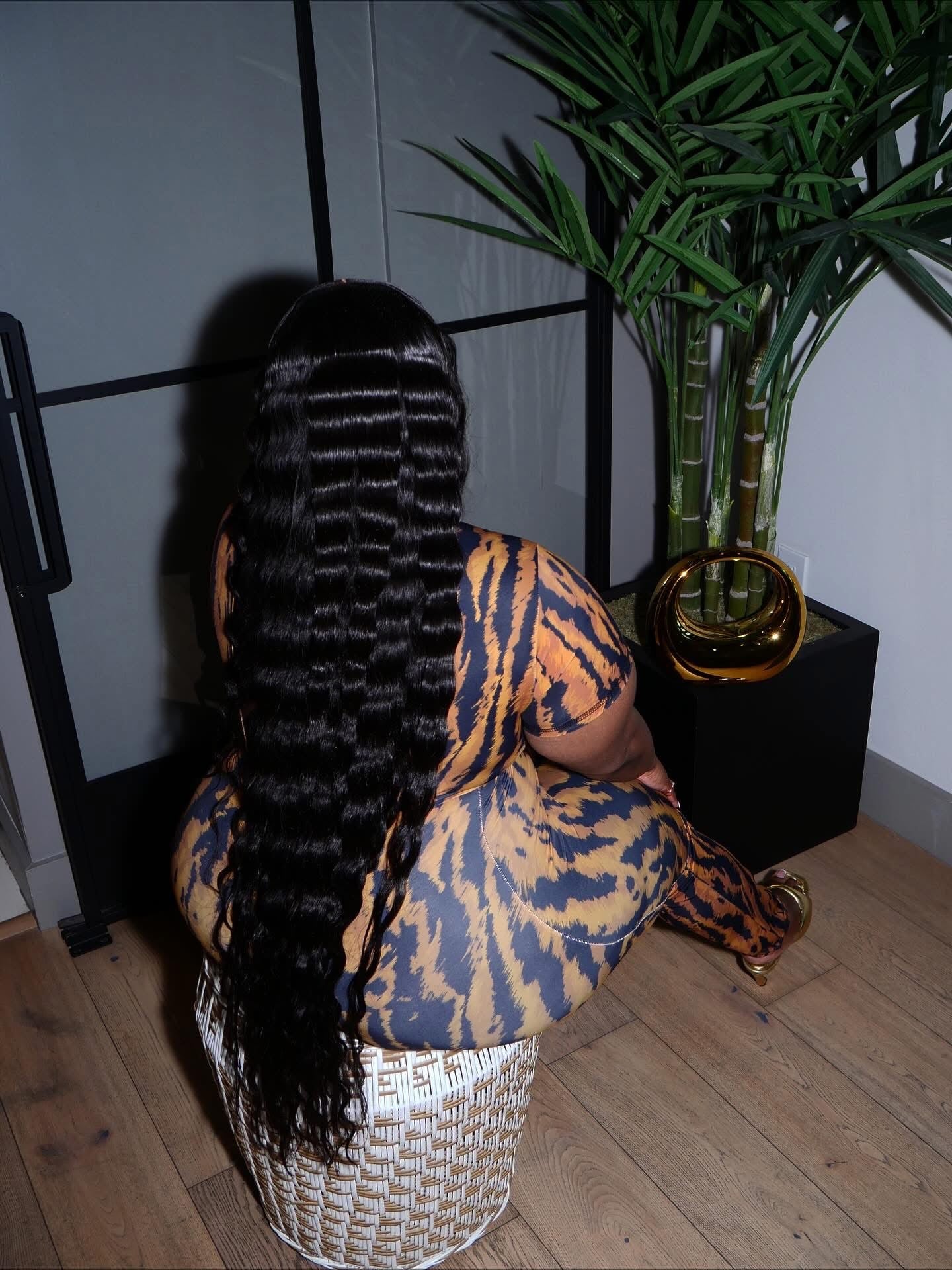 13x6 Silky Straight Wig